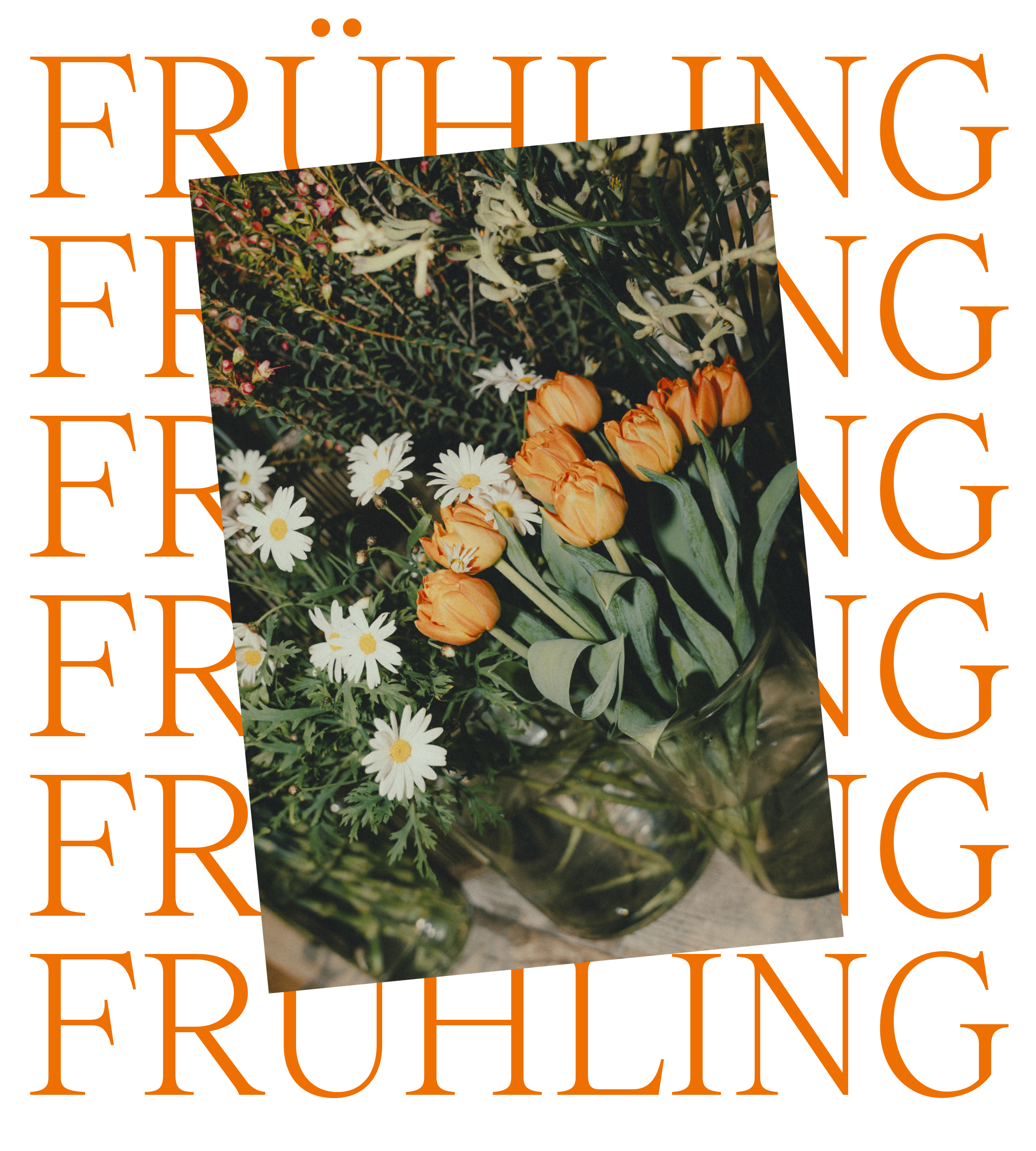 Flora-Fruehling-Advent Flora-Fruehling-Advent